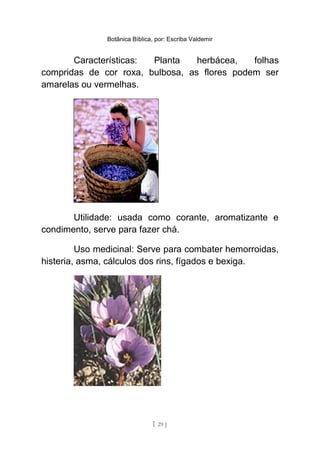 Botânica Bíblica, por: Escriba Valdemir
Características: Planta herbácea, folhas
compridas de cor roxa, bulbosa, as flores podem ser
amarelas ou vermelhas.
Utilidade: usada como corante, aromatizante e
condimento, serve para fazer chá.
Uso medicinal: Serve para combater hemorroidas,
histeria, asma, cálculos dos rins, fígados e bexiga.
[ 29 ]
 