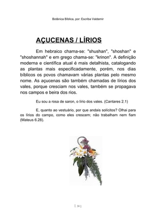 Botânica Bíblica, por: Escriba Valdemir
AÇUCENAS / LÍRIOS
Em hebraico chama-se: "shushan", "shoshan" e
"shoshannah" e em grego chama-se: "krinon". A definição
moderna e científica atual é mais detalhista, catalogando
as plantas mais especificadamente, porém, nos dias
bíblicos os povos chamavam várias plantas pelo mesmo
nome. As açucenas são também chamadas de lírios dos
vales, porque cresciam nos vales, também se propagava
nos campos e beira dos rios.
Eu sou a rosa de saron, o lírio dos vales. (Cantares 2.1)
E, quanto ao vestuário, por que andais solícitos? Olhai para
os lírios do campo, como eles crescem; não trabalham nem fiam
(Mateus 6.28).
[ 30 ]
 