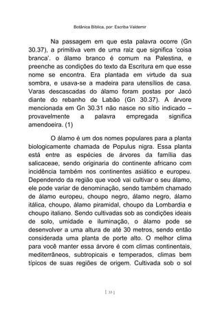 Botânica Bíblica, por: Escriba Valdemir
Na passagem em que esta palavra ocorre (Gn
30.37), a primitiva vem de uma raiz que significa ‘coisa
branca’. o álamo branco é comum na Palestina, e
preenche as condições do texto da Escritura em que esse
nome se encontra. Era plantada em virtude da sua
sombra, e usava-se a madeira para utensílios de casa.
Varas descascadas do álamo foram postas por Jacó
diante do rebanho de Labão (Gn 30.37). A árvore
mencionada em Gn 30.31 não nasce no sítio indicado –
provavelmente a palavra empregada significa
amendoeira. (1)
O álamo é um dos nomes populares para a planta
biologicamente chamada de Populus nigra. Essa planta
está entre as espécies de árvores da família das
salicaceae, sendo originaria do continente africano com
incidência também nos continentes asiático e europeu.
Dependendo da região que você vai cultivar o seu álamo,
ele pode variar de denominação, sendo também chamado
de álamo europeu, choupo negro, álamo negro, álamo
itálica, choupo, álamo piramidal, choupo da Lombardia e
choupo italiano. Sendo cultivadas sob as condições ideais
de solo, umidade e iluminação, o álamo pode se
desenvolver a uma altura de até 30 metros, sendo então
considerada uma planta de porte alto. O melhor clima
para você manter essa árvore é com climas continentais,
mediterrâneos, subtropicais e temperados, climas bem
típicos de suas regiões de origem. Cultivada sob o sol
[ 35 ]
 