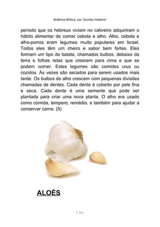 Botânica Bíblica, por: Escriba Valdemir
período que os hebreus viviam no cativeiro adquiriram o
hábito alimentar de comer cebola e alho. Alho, cebola e
alho-porros eram legumes muito populares em Israel.
Todos eles têm um cheiro e sabor bem fortes. Eles
formam um tipo de batata, chamados bulbos, debaixo da
terra e folhas retas que crescem para cima e que se
podem comer. Estes legumes são comidos crus ou
cozidos. Às vezes são secados para serem usados mais
tarde. Os bulbos de alho crescem com pequenas divisões
chamadas de dentes. Cada dente é coberto por pele fina
e seca. Cada dente é uma semente que pode ser
plantada para criar uma nova planta. O alho era usado
como comida, tempero, remédio, e também para ajudar a
conservar carne. (5)
ALOÉS
[ 39 ]
 