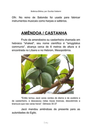 Botânica Bíblica, por: Escriba Valdemir
Ofir. No reino de Salomão foi usada para fabricar
instrumentos musicais como harpas e saltérios.
AMÊNDOA / CASTANHA
Fruto da amendoeira ou castanheira chamada em
hebraico "shaked", seu nome científico é "amygdalus
communis", alcança cerca de 6 metros de altura e é
encontrada no Líbano e no Hebrom, Mesopotâmia.
"Então tomou Jacó varas verdes de álamo e de aveleira e
de castanheiro, e descascou nelas riscas brancas, descobrindo a
brancura que nas varas havia". Gênesis 30.37
Jacó mandou amêndoas de presente para as
autoridades do Egito.
[ 41 ]
 
