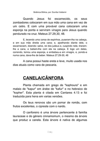 Botânica Bíblica, por: Escriba Valdemir
Quando Jesus foi escarnecido, os seus
zombadores colocaram em sua mão uma cana em vez de
um cetro. E com uma provável cana colocaram uma
esponja na ponta e serviram vinagre para Jesus quando
pendurado na cruz. Mateus 27.29,30, 48.
E, tecendo uma coroa de espinhos, puseram-lha na cabeça,
e em sua mão direita uma cana; e, ajoelhando diante dele, o
escarneciam, dizendo: salve, rei dos judeus e, cuspindo nele, tiraram-
lhe a cana, e batiam-lhe com ela na cabeça. E logo um deles,
correndo, tomou uma esponja, e embebeu-a em vinagre, e, pondo-a
numa cana, dava-lhe de beber. Mateus 27.29-30, 48
A cana possui haste ereta e leve, muito usada nos
dias atuais como vara de pescaria.
CANELA/CÂNFORA
Planta chamada em grego de "kaphoura" e em
malaio de "kapur" em árabe de "kafur" e no hebraico de
"kopher". Esta planta é citada em Cantares 4.13 e foi
traduzida para hena em varias versões.
Os teus renovos são um pomar de romãs, com
frutos excelentes, o cipreste com o nardo.
O canforeiro é uma árvore pertencente à família
lauraceae e do género cinnamomum, o mesmo da árvore
que produz a canela. Esta árvore é nativa de algumas
[ 50 ]
 