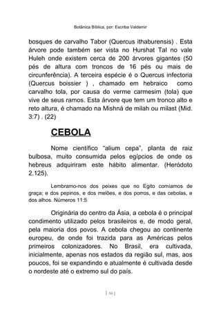 Botânica Bíblica, por: Escriba Valdemir
bosques de carvalho Tabor (Quercus ithaburensis) . Esta
árvore pode também ser vista no urshat Tal no valeḤ
Huleh onde existem cerca de 200 árvores gigantes (50
pés de altura com troncos de 16 pés ou mais de
circunferência). A terceira espécie é o Quercus infectoria
(Quercus boissier ) , chamado em hebraico como
carvalho tola, por causa do verme carmesim (tola) que
vive de seus ramos. Esta árvore que tem um tronco alto e
reto altura, é chamado na Mishná de milah ou milast (Mid.
3:7) . (22)
CEBOLA
Nome científico “alium cepa”, planta de raiz
bulbosa, muito consumida pelos egípcios de onde os
hebreus adquiriram este hábito alimentar. (Heródoto
2.125).
Lembramo-nos dos peixes que no Egito comíamos de
graça; e dos pepinos, e dos melões, e dos porros, e das cebolas, e
dos alhos. Números 11:5
Originária do centro da Ásia, a cebola é o principal
condimento utilizado pelos brasileiros e, de modo geral,
pela maioria dos povos. A cebola chegou ao continente
europeu, de onde foi trazida para as Américas pelos
primeiros colonizadores. No Brasil, era cultivada,
inicialmente, apenas nos estados da região sul, mas, aos
poucos, foi se expandindo e atualmente é cultivada desde
o nordeste até o extremo sul do país.
[ 54 ]
 