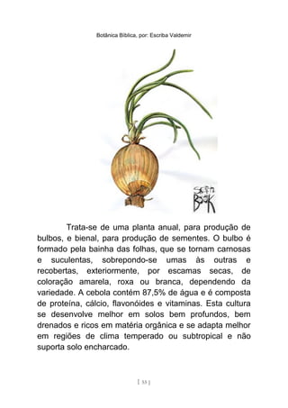 Botânica Bíblica, por: Escriba Valdemir
Trata-se de uma planta anual, para produção de
bulbos, e bienal, para produção de sementes. O bulbo é
formado pela bainha das folhas, que se tornam carnosas
e suculentas, sobrepondo-se umas às outras e
recobertas, exteriormente, por escamas secas, de
coloração amarela, roxa ou branca, dependendo da
variedade. A cebola contém 87,5% de água e é composta
de proteína, cálcio, flavonóides e vitaminas. Esta cultura
se desenvolve melhor em solos bem profundos, bem
drenados e ricos em matéria orgânica e se adapta melhor
em regiões de clima temperado ou subtropical e não
suporta solo encharcado.
[ 55 ]
 