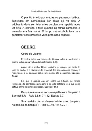 Botânica Bíblica, por: Escriba Valdemir
O plantio é feito por mudas ou pequenos bulbos,
cultivados em semeadeira por cerca de 40 dias. A
adubação deve ser feita antes do plantio e repetida após
30 dias. A colheita é feita quando as folhas começam a
amarelar e a ficar secas. O tempo que a cebola leva para
completar esse processo varia para cada espécie.
CEDRO
Cedro do Líbano!
E contra todos os cedros do Líbano, altos e sublimes; e
contra todos os carvalhos de basã; Isaías 2.13;
Assim diz o senhor Deus: também eu tomarei um broto do
topo do cedro, e o plantarei; do principal dos seus renovos cortarei o
mais tenro, e o plantarei sobre um monte alto e sublime. Ezequiel
17.22;
Eis que a assíria era um cedro no Líbano, de ramos
formosos, de sombrosa ramagem e de alta estatura, e a sua copa
estava entre os ramos espessos. Ezequiel 31.3
Da sua madeira se construiu palácios e templos: II
Samuel 5.7; I Reis 5.5,6; 7.1-12; Esdras 3.7.
Sua madeira deu acabamento interno no templo e
no palácio do bosque (I Reis 6.9,10, 18; 7.2,7).
[ 56 ]
 
