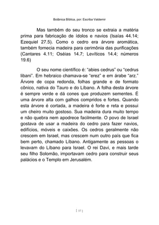 Botânica Bíblica, por: Escriba Valdemir
Mas também do seu tronco se extraia a matéria
prima para fabricação de ídolos e navios (Isaías 44.14;
Ezequiel 27.5). Como o cedro era árvore aromática,
também fornecia madeira para cerimônia das purificações
(Cantares 4.11; Oséias 14.7; Levíticos 14.4; números
19.6)
O seu nome científico é: “abies cedrus” ou “cedrus
libani”. Em hebraico chamava-se “erez” e em árabe “arz.”
Árvore de copa redonda, folhas grande e de formato
cônico, nativa do Tauro e do Líbano. A folha desta árvore
é sempre verde e dá cones que produzem sementes. É
uma árvore alta com galhos compridos e fortes. Quando
esta árvore é cortada, a madeira é forte e reta e possui
um cheiro muito gostoso. Sua madeira dura muito tempo
e não quebra nem apodrece facilmente. O povo de Israel
gostava de usar a madeira do cedro para fazer navios,
edifícios, móveis e caixões. Os cedros geralmente não
crescem em Israel, mas crescem num outro país que fica
bem perto, chamado Líbano. Antigamente as pessoas o
levavam do Líbano para Israel. O rei Davi, e mais tarde
seu filho Solomão, importavam cedro para construir seus
palácios e o Templo em Jerusalém.
[ 57 ]
 