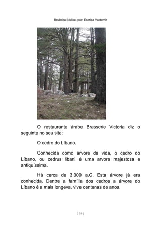 Botânica Bíblica, por: Escriba Valdemir
O restaurante árabe Brasserie Victoria diz o
seguinte no seu site:
O cedro do Líbano.
Conhecida como árvore da vida, o cedro do
Líbano, ou cedrus libani é uma arvore majestosa e
antiquíssima.
Há cerca de 3.000 a.C. Esta árvore já era
conhecida. Dentre a família dos cedros a árvore do
Líbano é a mais longeva, vive centenas de anos.
[ 58 ]
 