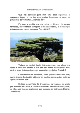 Botânica Bíblica, por: Escriba Valdemir
Que diz: edificarei para mim uma casa espaçosa, e
aposentos largos; e que lhe abre janelas, forrando-a de cedro, e
pintando-a de vermelhão. Jeremias 22:14
Eis que a assíria era um cedro no Líbano, de ramos
formosos, de sombrosa ramagem e de alta estatura, e a sua copa
estava entre os ramos espessos. Ezequiel 31:3
Todavia eu destruí diante dele o amorreu, cuja altura era
como a altura dos cedros, e que era forte como os carvalhos; mas
destruí o seu fruto por cima, e as suas raízes por baixo. Amós 2:9
Como ribeiros se estendem, como jardins à beira dos rios;
como árvores de sândalo o Senhor os plantou, como cedros junto às
águas; Números 24:6
E disse o espinheiro às árvores: se, na verdade, me ungis
por rei sobre vós, vinde, e confiai-vos debaixo da minha sombra; mas,
se não, saia fogo do espinheiro que consuma os cedros do Líbano.
Juízes 9:15
[ 64 ]
 