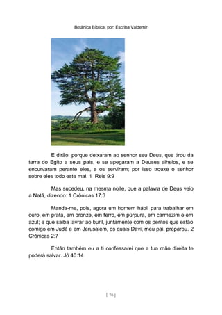 Botânica Bíblica, por: Escriba Valdemir
E dirão: porque deixaram ao senhor seu Deus, que tirou da
terra do Egito a seus pais, e se apegaram a Deuses alheios, e se
encurvaram perante eles, e os serviram; por isso trouxe o senhor
sobre eles todo este mal. 1 Reis 9:9
Mas sucedeu, na mesma noite, que a palavra de Deus veio
a Natã, dizendo: 1 Crônicas 17:3
Manda-me, pois, agora um homem hábil para trabalhar em
ouro, em prata, em bronze, em ferro, em púrpura, em carmezim e em
azul; e que saiba lavrar ao buril, juntamente com os peritos que estão
comigo em Judá e em Jerusalém, os quais Davi, meu pai, preparou. 2
Crônicas 2:7
Então também eu a ti confessarei que a tua mão direita te
poderá salvar. Jó 40:14
[ 70 ]
 