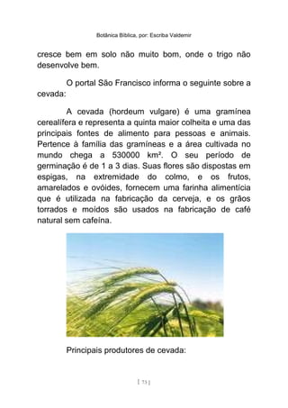 Botânica Bíblica, por: Escriba Valdemir
cresce bem em solo não muito bom, onde o trigo não
desenvolve bem.
O portal São Francisco informa o seguinte sobre a
cevada:
A cevada (hordeum vulgare) é uma gramínea
cerealífera e representa a quinta maior colheita e uma das
principais fontes de alimento para pessoas e animais.
Pertence à família das gramíneas e a área cultivada no
mundo chega a 530000 km². O seu período de
germinação é de 1 a 3 dias. Suas flores são dispostas em
espigas, na extremidade do colmo, e os frutos,
amarelados e ovóides, fornecem uma farinha alimentícia
que é utilizada na fabricação da cerveja, e os grãos
torrados e moídos são usados na fabricação de café
natural sem cafeína.
Principais produtores de cevada:
[ 73 ]
 