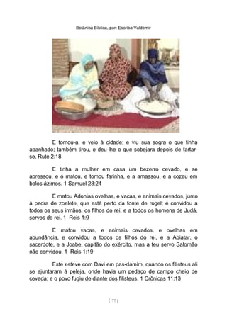 Botânica Bíblica, por: Escriba Valdemir
E tomou-a, e veio à cidade; e viu sua sogra o que tinha
apanhado; também tirou, e deu-lhe o que sobejara depois de fartar-
se. Rute 2:18
E tinha a mulher em casa um bezerro cevado, e se
apressou, e o matou, e tomou farinha, e a amassou, e a cozeu em
bolos ázimos. 1 Samuel 28:24
E matou Adonias ovelhas, e vacas, e animais cevados, junto
à pedra de zoelete, que está perto da fonte de rogel; e convidou a
todos os seus irmãos, os filhos do rei, e a todos os homens de Judá,
servos do rei. 1 Reis 1:9
E matou vacas, e animais cevados, e ovelhas em
abundância, e convidou a todos os filhos do rei, e a Abiatar, o
sacerdote, e a Joabe, capitão do exército, mas a teu servo Salomão
não convidou. 1 Reis 1:19
Este esteve com Davi em pas-damim, quando os filisteus ali
se ajuntaram à peleja, onde havia um pedaço de campo cheio de
cevada; e o povo fugiu de diante dos filisteus. 1 Crônicas 11:13
[ 77 ]
 