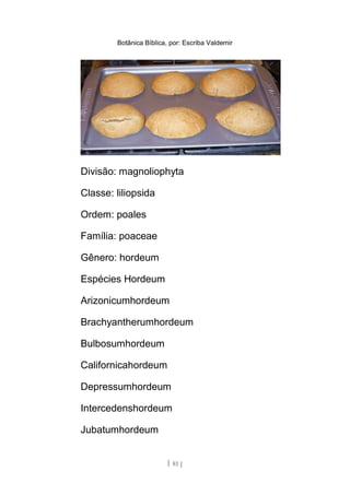 Botânica Bíblica, por: Escriba Valdemir
Divisão: magnoliophyta
Classe: liliopsida
Ordem: poales
Família: poaceae
Gênero: hordeum
Espécies Hordeum
Arizonicumhordeum
Brachyantherumhordeum
Bulbosumhordeum
Californicahordeum
Depressumhordeum
Intercedenshordeum
Jubatumhordeum
[ 81 ]
 