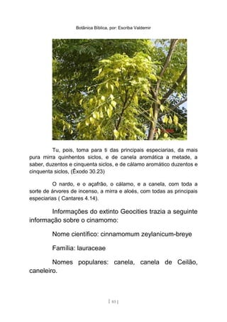 Botânica Bíblica, por: Escriba Valdemir
Tu, pois, toma para ti das principais especiarias, da mais
pura mirra quinhentos siclos, e de canela aromática a metade, a
saber, duzentos e cinquenta siclos, e de cálamo aromático duzentos e
cinquenta siclos, (Êxodo 30.23)
O nardo, e o açafrão, o cálamo, e a canela, com toda a
sorte de árvores de incenso, a mirra e aloés, com todas as principais
especiarias ( Cantares 4.14).
Informações do extinto Geocities trazia a seguinte
informação sobre o cinamomo:
Nome científico: cinnamomum zeylanicum-breye
Família: lauraceae
Nomes populares: canela, canela de Ceilão,
caneleiro.
[ 83 ]
 