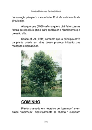 Botânica Bíblica, por: Escriba Valdemir
hemorragia pós-parto e escorbuto. É ainda estimulante da
circulação.
Albuquerque (1989) afirma que o chá feito com as
folhas ou cascas é ótimo para combater o reumatismo e a
pressão alta.
Sousa et. Al (1991) comenta que o princípio ativo
da planta usada em altas doses provoca irritação das
mucosas e hematúrias.
COMINHO
Planta chamada em hebraico de “kammom” e em
árabe “kammum”, cientificamente se chama “ cuminum
[ 85 ]
 