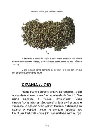 Botânica Bíblica, por: Escriba Valdemir
E chamou a casa de Israel o seu nome maná; e era como
semente de coentro branco, e o seu sabor como bolos de mel. (Êxodo
16.31)
E era o maná como semente de coentro, e a sua cor como a
cor de bdélio. (Números 11.7)
CIZÂNIA / JOIO
Planta que em grego chamava-se “sizanion”, e em
árabe chamava-se “zuwan” e no talmude de “zonin”. Seu
nome científico é “lolium temulentum”. Suas
características básicas são: semelhante a ervilha brava e
venenosa. A espécie “vicia sativa” também é chamada de
cizânia. A espécie “lolium temulentum” aparece nas
Escrituras traduzida como joio, confunde-se com o trigo,
[ 87 ]
 