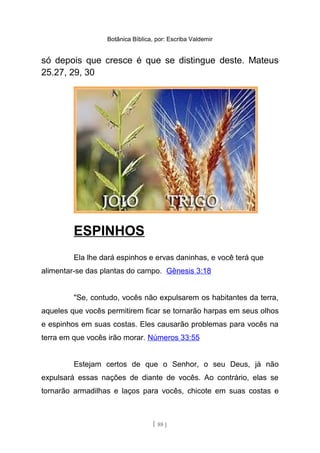 Botânica Bíblica, por: Escriba Valdemir
só depois que cresce é que se distingue deste. Mateus
25.27, 29, 30
ESPINHOS
Ela lhe dará espinhos e ervas daninhas, e você terá que
alimentar-se das plantas do campo. Gênesis 3:18
"Se, contudo, vocês não expulsarem os habitantes da terra,
aqueles que vocês permitirem ficar se tornarão harpas em seus olhos
e espinhos em suas costas. Eles causarão problemas para vocês na
terra em que vocês irão morar. Números 33:55
Estejam certos de que o Senhor, o seu Deus, já não
expulsará essas nações de diante de vocês. Ao contrário, elas se
tornarão armadilhas e laços para vocês, chicote em suas costas e
[ 88 ]
 