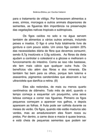 Botânica Bíblica, por: Escriba Valdemir
para o tratamento de vitiligo. Por fornecerem alimentos a
aves, símios, morcegos e outros animais dispersores de
sementes, as figueiras têm importância na preservação
das vegetações nativas tropicais e subtropicais.
Os figos caídos no solo e na água servem
também de alimentos a vários outros animais, incluindo
peixes e insetos. O figo é uma fruta totalmente livre de
gordura e com pouco sódio. Um único figo contém 20%
das necessidades diária de fibra que devemos consumir,
sendo 8,7g insolúveis e 3,5g solúveis. As fibras da dieta
ajudam a controlar o colesterol e a glicose e melhoram o
funcionamento do intestino. Como se isso não bastasse,
ele tem mais cálcio que qualquer outra fruta. Os
benefícios vão além das fibras e dos minerais. Ele
também faz bem para os olhos, porque tem luteína e
zeaxantina, pigmentos carotenóides que absorvem a luz
ultravioleta que danifica a retina. (8)
Eles são redondos, de mais ou menos quarto
centímetros de diâmetro. Todo mês de abril, quando o
tempo começa a esquentar um pouquinho, uma seiva
leitosa começa a correr nas figueiras. Primeiro os figos
pequenos começam a aparecer nos galhos, e depois
aparecem as folhas. A fruta pode ser colhida durante os
meses do verão. Os figos, quando não estão maduros são
verdes, mas ao amadurecerem eles ficam roxos ou
pretos. Por dentro, a carne doce e macia é quase branca,
e está cheia de pequenas sementes que podem ser
[ 97 ]
 