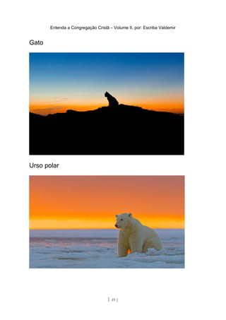 Entenda a Congregação Cristã – Volume II, por: Escriba Valdemir
Gato
Urso polar
[ 49 ]
 