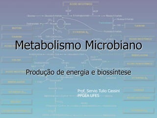 Metabolismo Microbiano
Produção de energia e biossíntese
Prof. Servio Tulio Cassini
PPGEA UFES
 