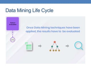 Data Mining Life Cycle
 