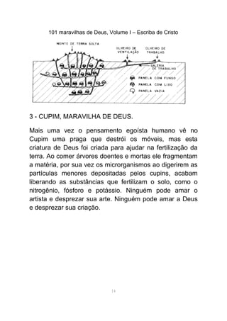 101 maravilhas de Deus, Volume I – Escriba de Cristo
3 - CUPIM, MARAVILHA DE DEUS.
Mais uma vez o pensamento egoísta humano vê no
Cupim uma praga que destrói os móveis, mas esta
criatura de Deus foi criada para ajudar na fertilização da
terra. Ao comer árvores doentes e mortas ele fragmentam
a matéria, por sua vez os microrganismos ao digerirem as
partículas menores depositadas pelos cupins, acabam
liberando as substâncias que fertilizam o solo, como o
nitrogênio, fósforo e potássio. Ninguém pode amar o
artista e desprezar sua arte. Ninguém pode amar a Deus
e desprezar sua criação.
14
 