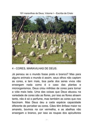 101 maravilhas de Deus, Volume I – Escriba de Cristo
4 - CORES, MARAVILHAS DE DEUS.
Já pensou se o mundo fosse preto e branco? Mas para
alguns animais o mundo é assim, seus olhos não captam
as cores, e tem mais, boa parte dos seres vivos não
enxergam nada como é o caso das plantas e
microrganismos. Deus criou milhões de cores para tornar
a vida mais bela. Uma das coisas que Deus abusou na
variedade de cores são as flores, por isso as flores atraem
tanto, não é só o perfume, mas também as cores que nos
fascinam. Mas Deus deu a cada espécie capacidade
diferente de perceber as cores. Cães têm ênfase maior no
amarelo, bovinos na cor vermelha, e as abelhas não
enxergam o branco, por isso as roupas dos apicultores
15
 