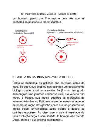 101 maravilhas de Deus, Volume I – Escriba de Cristo
um homem, gerou um filho macho uma vez que as
mulheres só possuem o cromossomo X.
6 - MOELA DA GALINHA, MARAVILHA DE DEUS.
Como os humanos, as galinhas são onívoras, come de
tudo. Só que Deus acoplou nas galinhas um equipamento
biológico poderosíssimo, a moela. Eu já vi um frango do
sítio engolir uma jararaca venenosa viva, e o veneno não
matou o frango, sua moela quebrou as moléculas do
veneno. Artesãos no Egito misturam pequenas estatuetas
de pedra na ração das galinhas para que ao passarem na
moela sejam envelhecidas pelos ácidos e depois as
galinhas evacuam. Ao dizer que a vida é resultado de
uma evolução cega e sem sentido. O homem não ofende
Deus, ofende a sua própria inteligência...
17
 