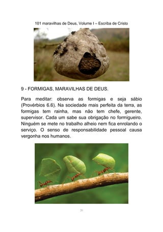 101 maravilhas de Deus, Volume I – Escriba de Cristo
9 - FORMIGAS, MARAVILHAS DE DEUS.
Para meditar: observa as formigas e seja sábio
(Provérbios 6.6). Na sociedade mais perfeita da terra, as
formigas tem rainha, mas não tem chefe, gerente,
supervisor. Cada um sabe sua obrigação no formigueiro.
Ninguém se mete no trabalho alheio nem fica enrolando o
serviço. O senso de responsabilidade pessoal causa
vergonha nos humanos.
20
 