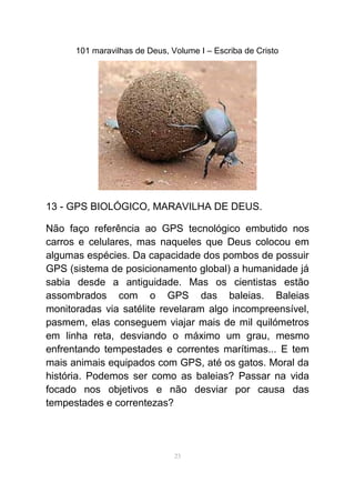 101 maravilhas de Deus, Volume I – Escriba de Cristo
13 - GPS BIOLÓGICO, MARAVILHA DE DEUS.
Não faço referência ao GPS tecnológico embutido nos
carros e celulares, mas naqueles que Deus colocou em
algumas espécies. Da capacidade dos pombos de possuir
GPS (sistema de posicionamento global) a humanidade já
sabia desde a antiguidade. Mas os cientistas estão
assombrados com o GPS das baleias. Baleias
monitoradas via satélite revelaram algo incompreensível,
pasmem, elas conseguem viajar mais de mil quilómetros
em linha reta, desviando o máximo um grau, mesmo
enfrentando tempestades e correntes marítimas... E tem
mais animais equipados com GPS, até os gatos. Moral da
história. Podemos ser como as baleias? Passar na vida
focado nos objetivos e não desviar por causa das
tempestades e correntezas?
23
 