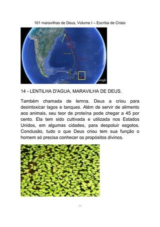 101 maravilhas de Deus, Volume I – Escriba de Cristo
14 - LENTILHA D'AGUA, MARAVILHA DE DEUS.
Também chamada de lemna. Deus a criou para
desintoxicar lagos e tanques. Além de servir de alimento
aos animais, seu teor de proteína pode chegar a 45 por
cento. Ela tem sido cultivada e utilizada nos Estados
Unidos, em algumas cidades, para despoluir esgotos.
Conclusão, tudo o que Deus criou tem sua função o
homem só precisa conhecer os propósitos divinos.
24
 