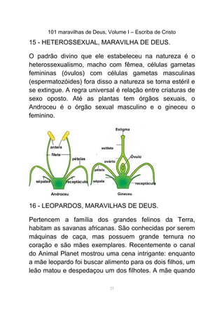 101 maravilhas de Deus, Volume I – Escriba de Cristo
15 - HETEROSSEXUAL, MARAVILHA DE DEUS.
O padrão divino que ele estabeleceu na natureza é o
heterossexualismo, macho com fêmea, células gametas
femininas (óvulos) com células gametas masculinas
(espermatozóides) fora disso a natureza se torna estéril e
se extingue. A regra universal é relação entre criaturas de
sexo oposto. Até as plantas tem órgãos sexuais, o
Androceu é o órgão sexual masculino e o gineceu o
feminino.
16 - LEOPARDOS, MARAVILHAS DE DEUS.
Pertencem a família dos grandes felinos da Terra,
habitam as savanas africanas. São conhecidas por serem
máquinas de caça, mas possuem grande ternura no
coração e são mães exemplares. Recentemente o canal
do Animal Planet mostrou uma cena intrigante: enquanto
a mãe leopardo foi buscar alimento para os dois filhos, um
leão matou e despedaçou um dos filhotes. A mãe quando
25
 