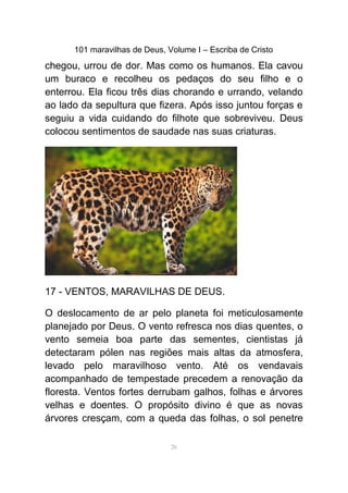 101 maravilhas de Deus, Volume I – Escriba de Cristo
chegou, urrou de dor. Mas como os humanos. Ela cavou
um buraco e recolheu os pedaços do seu filho e o
enterrou. Ela ficou três dias chorando e urrando, velando
ao lado da sepultura que fizera. Após isso juntou forças e
seguiu a vida cuidando do filhote que sobreviveu. Deus
colocou sentimentos de saudade nas suas criaturas.
17 - VENTOS, MARAVILHAS DE DEUS.
O deslocamento de ar pelo planeta foi meticulosamente
planejado por Deus. O vento refresca nos dias quentes, o
vento semeia boa parte das sementes, cientistas já
detectaram pólen nas regiões mais altas da atmosfera,
levado pelo maravilhoso vento. Até os vendavais
acompanhado de tempestade precedem a renovação da
floresta. Ventos fortes derrubam galhos, folhas e árvores
velhas e doentes. O propósito divino é que as novas
árvores cresçam, com a queda das folhas, o sol penetre
26
 