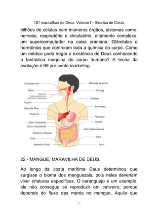 101 maravilhas de Deus, Volume I – Escriba de Cristo
bilhões de células com inúmeros órgãos, sistemas como:
nervoso, respiratório e circulatório, altamente complexo,
um supercomputador na caixa craniana. Glândulas e
hormônios que controlam toda a química do corpo. Como
um médico pode negar a existência de Deus conhecendo
a fantástica maquina do corpo humano? A teoria da
evolução é 99 por cento marketing.
22 - MANGUE, MARAVILHA DE DEUS.
Ao longo da costa marítima Deus determinou que
surgisse o bioma dos manguezais, pois neles deveriam
viver criaturas específicas. O caranguejo é um exemplo,
ele não consegue se reproduzir em cativeiro, porque
depende do fluxo das marés no mangue. Aquilo que
30
 