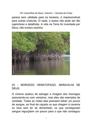 101 maravilhas de Deus, Volume I – Escriba de Cristo
parece sem utilidade para os homens, é imprescindível
para outras criaturas. O nada, o acaso não pode ser tão
caprichoso e detalhista. A vida na Terra foi inventada por
Deus, não evoluiu sozinha.
23 - MORCEGO HEMATOFAGO, MARAVILHA DE
DEUS.
O cinema acabou de estragar a imagem dos morcegos
associando-os com vampiros, mas eles são exemplos de
caridade. Todas as noites eles precisam beber um pouco
de sangue, ao final da caçada os que chegam à caverna
ou toca sem ter se alimentado, os que conseguiram
sangue regurgitam um pouco para o que não conseguiu
31
 