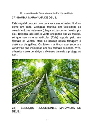 101 maravilhas de Deus, Volume I – Escriba de Cristo
27 - BAMBU, MARAVILHA DE DEUS.
Este vegetal cresce como uma vara em formato cilíndrico
como um cano. Campeão mundial em velocidade de
crescimento na natureza (chega a crescer um metro por
dia). Balança fácil com o vento chegando aos 25 metros,
só que seu sistema radicular (Raiz) suporta pelo seu
formato os ventos, além de possuir pouca folhagem e
ausência de galhos. Os faróis marítimos que suportam
vendavais são inspirados em seu formato cilíndrico. Vivo,
o bambu serve de abrigo a diversos animais e protege os
rios...
28 - BESOURO RINOCERONTE, MARAVILHA DE
DEUS.
35
 