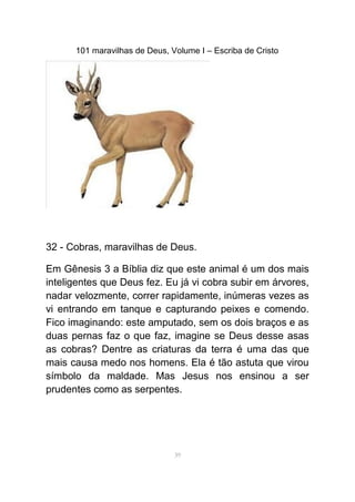 101 maravilhas de Deus, Volume I – Escriba de Cristo
32 - Cobras, maravilhas de Deus.
Em Gênesis 3 a Bíblia diz que este animal é um dos mais
inteligentes que Deus fez. Eu já vi cobra subir em árvores,
nadar velozmente, correr rapidamente, inúmeras vezes as
vi entrando em tanque e capturando peixes e comendo.
Fico imaginando: este amputado, sem os dois braços e as
duas pernas faz o que faz, imagine se Deus desse asas
as cobras? Dentre as criaturas da terra é uma das que
mais causa medo nos homens. Ela é tão astuta que virou
símbolo da maldade. Mas Jesus nos ensinou a ser
prudentes como as serpentes.
39
 