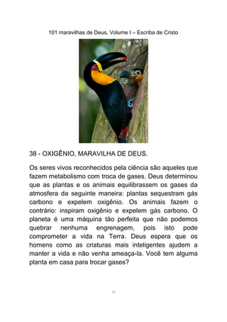 101 maravilhas de Deus, Volume I – Escriba de Cristo
38 - OXIGÊNIO, MARAVILHA DE DEUS.
Os seres vivos reconhecidos pela ciência são aqueles que
fazem metabolismo com troca de gases. Deus determinou
que as plantas e os animais equilibrassem os gases da
atmosfera da seguinte maneira: plantas sequestram gás
carbono e expelem oxigênio. Os animais fazem o
contrário: inspiram oxigênio e expelem gás carbono. O
planeta é uma máquina tão perfeita que não podemos
quebrar nenhuma engrenagem, pois isto pode
comprometer a vida na Terra. Deus espera que os
homens como as criaturas mais inteligentes ajudem a
manter a vida e não venha ameaça-la. Você tem alguma
planta em casa para trocar gases?
44
 