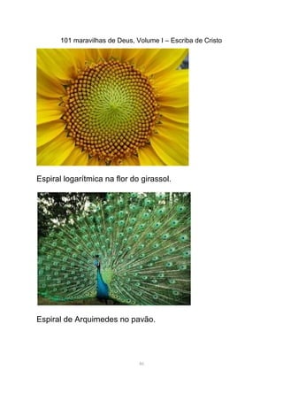 101 maravilhas de Deus, Volume I – Escriba de Cristo
Espiral logarítmica na flor do girassol.
Espiral de Arquimedes no pavão.
46
 