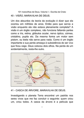101 maravilhas de Deus, Volume I – Escriba de Cristo
40 - VISÃO, MARAVILHA DE DEUS.
Um dos absurdos da teoria da evolução é dizer que ela
ocorreu em milhões de anos. Então para que servia a
visão enquanto ela não estava plenamente completa? A
visão é um órgão complexo, não funciona faltando partes
como a íris, retina, glóbulos ocular, nervo óptico, córnea,
cristalino, pupila etc. Da mesma forma um motor sem
pistom, ou biela não serve para nada. Como é um órgão
importante e sua perda ameaça à subsistência do ser vivo
que ficou cego. Deus colocou dois olhos. Na perda de um
acidentalmente, resta-lhe outro.
41 - CASCA DE ÁRVORE, MARAVILHA DE DEUS.
Investigando o planeta Terra encontrei um padrão nos
seres vivos que me faz concluir o seguinte: quem criou
um, criou todos. A casca da árvore é a película que
48
 