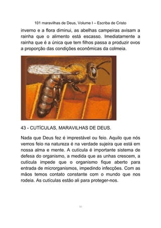 101 maravilhas de Deus, Volume I – Escriba de Cristo
inverno e a flora diminui, as abelhas campeiras avisam a
rainha que o alimento está escasso. Imediatamente a
rainha que é a única que tem filhos passa a produzir ovos
a proporção das condições econômicas da colmeia.
43 - CUTÍCULAS, MARAVILHAS DE DEUS.
Nada que Deus fez é imprestável ou feio. Aquilo que nós
vemos feio na natureza é na verdade sujeira que está em
nossa alma e mente. A cutícula é importante sistema de
defesa do organismo, a medida que as unhas crescem, a
cutícula impede que o organismo fique aberto para
entrada de microrganismos, impedindo infecções. Com as
mãos temos contato constante com o mundo que nos
rodeia. As cutículas estão ali para proteger-nos.
50
 