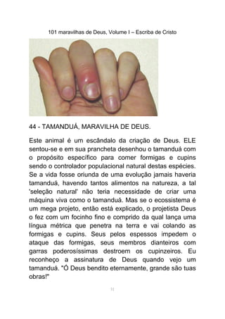 101 maravilhas de Deus, Volume I – Escriba de Cristo
44 - TAMANDUÁ, MARAVILHA DE DEUS.
Este animal é um escândalo da criação de Deus. ELE
sentou-se e em sua prancheta desenhou o tamanduá com
o propósito específico para comer formigas e cupins
sendo o controlador populacional natural destas espécies.
Se a vida fosse oriunda de uma evolução jamais haveria
tamanduá, havendo tantos alimentos na natureza, a tal
'seleção natural' não teria necessidade de criar uma
máquina viva como o tamanduá. Mas se o ecossistema é
um mega projeto, então está explicado, o projetista Deus
o fez com um focinho fino e comprido da qual lança uma
língua métrica que penetra na terra e vai colando as
formigas e cupins. Seus pelos espessos impedem o
ataque das formigas, seus membros dianteiros com
garras poderosíssimas destroem os cupinzeiros. Eu
reconheço a assinatura de Deus quando vejo um
tamanduá. "Ó Deus bendito eternamente, grande são tuas
obras!"
51
 