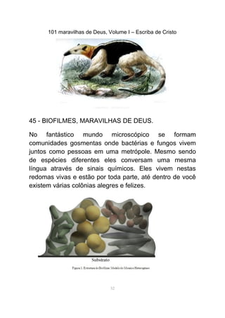 101 maravilhas de Deus, Volume I – Escriba de Cristo
45 - BIOFILMES, MARAVILHAS DE DEUS.
No fantástico mundo microscópico se formam
comunidades gosmentas onde bactérias e fungos vivem
juntos como pessoas em uma metrópole. Mesmo sendo
de espécies diferentes eles conversam uma mesma
língua através de sinais químicos. Eles vivem nestas
redomas vivas e estão por toda parte, até dentro de você
existem várias colônias alegres e felizes.
52
 