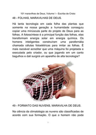 101 maravilhas de Deus, Volume I – Escriba de Cristo
48 - FOLHAS, MARAVILHAS DE DEUS.
Há tanta tecnologia em cada folha das plantas que
somente na nossa geração a humanidade conseguiu
copiar uma minúscula parte do projeto de Deus para as
folhas. A fotossíntese é a principal função das folhas, elas
transformam energia solar em energia química. Os
homens inteligentes construíram uma parafernália
chamada células fotoelétricas para imitar as folhas. É
mais razoável acreditar que uma máquina foi projetada e
executada pelo criador, ou que jogando em um canto
bagulhos e dali surgirá um aparelho de alta tecnologia?
49 - FORMATO DAS NUVENS, MARAVILHA DE DEUS.
Na ciência da climatologia as nuvens são classificadas de
acordo com sua formação. O que o homem não pode
55
 