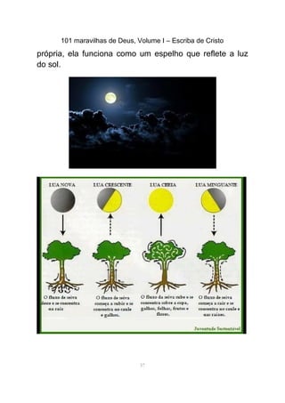 101 maravilhas de Deus, Volume I – Escriba de Cristo
própria, ela funciona como um espelho que reflete a luz
do sol.
57
 
