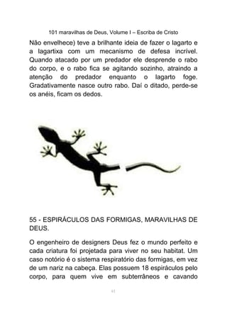 101 maravilhas de Deus, Volume I – Escriba de Cristo
Não envelhece) teve a brilhante ideia de fazer o lagarto e
a lagartixa com um mecanismo de defesa incrível.
Quando atacado por um predador ele desprende o rabo
do corpo, e o rabo fica se agitando sozinho, atraindo a
atenção do predador enquanto o lagarto foge.
Gradativamente nasce outro rabo. Daí o ditado, perde-se
os anéis, ficam os dedos.
55 - ESPIRÁCULOS DAS FORMIGAS, MARAVILHAS DE
DEUS.
O engenheiro de designers Deus fez o mundo perfeito e
cada criatura foi projetada para viver no seu habitat. Um
caso notório é o sistema respiratório das formigas, em vez
de um nariz na cabeça. Elas possuem 18 espiráculos pelo
corpo, para quem vive em subterrâneos e cavando
61
 