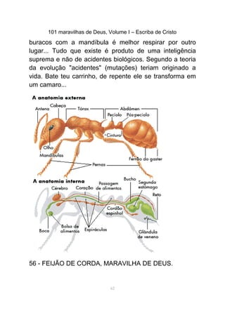 101 maravilhas de Deus, Volume I – Escriba de Cristo
buracos com a mandíbula é melhor respirar por outro
lugar... Tudo que existe é produto de uma inteligência
suprema e não de acidentes biológicos. Segundo a teoria
da evolução "acidentes" (mutações) teriam originado a
vida. Bate teu carrinho, de repente ele se transforma em
um camaro...
56 - FEIJÃO DE CORDA, MARAVILHA DE DEUS.
62
 