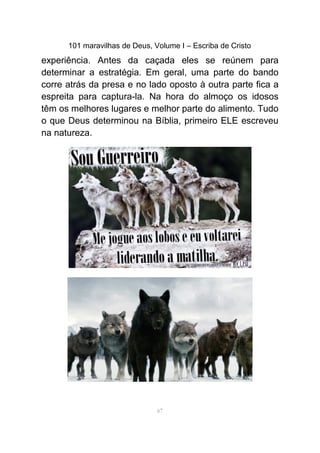 101 maravilhas de Deus, Volume I – Escriba de Cristo
experiência. Antes da caçada eles se reúnem para
determinar a estratégia. Em geral, uma parte do bando
corre atrás da presa e no lado oposto à outra parte fica a
espreita para captura-la. Na hora do almoço os idosos
têm os melhores lugares e melhor parte do alimento. Tudo
o que Deus determinou na Bíblia, primeiro ELE escreveu
na natureza.
67
 