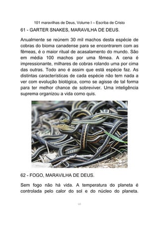 101 maravilhas de Deus, Volume I – Escriba de Cristo
61 - GARTER SNAKES, MARAVILHA DE DEUS.
Anualmente se reúnem 30 mil machos desta espécie de
cobras do bioma canadense para se encontrarem com as
fêmeas, é o maior ritual de acasalamento do mundo. São
em média 100 machos por uma fêmea. A cena é
impressionante, milhares de cobras rolando uma por cima
das outras. Todo ano é assim que está espécie faz. As
distintas características de cada espécie não tem nada a
ver com evolução biológica, como se agisse de tal forma
para ter melhor chance de sobreviver. Uma inteligência
suprema organizou a vida como quis.
62 - FOGO, MARAVILHA DE DEUS.
Sem fogo não há vida. A temperatura do planeta é
controlada pelo calor do sol e do núcleo do planeta.
68
 