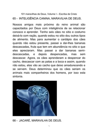 101 maravilhas de Deus, Volume I – Escriba de Cristo
65 - INTELIGÊNCIA CANINA, MARAVILHA DE DEUS.
Nossos amigos mais próximo do reino animal são
capacitados por Deus com inteligência de se relacionar
conosco e aprender. Tenho seis cães no sitio e costumo
deixá-lo com ração, quando estou no sitio dou outros tipos
de alimento. Mas para aumentar o cardápio dos cães
quando não estou presente, passei a dar-lhes bananas
descascadas, fruta que tem em abundância no sitio e que
eles apreciaram. Mas passei a dar bananas semi-
descascadas, e depois despencadas, mas sem
descascar. Agora, os cães aprenderam a despencar do
cacho, descascar com as patas e a boca e assim, quando
não estou, elas vão ao cacho que deixo amadurecendo e
se servem. Deus determinou que os cães seriam os
animais mais companheiros dos homens, por isso esta
sintonia.
66 - JACARÉ, MARAVILHA DE DEUS.
72
 