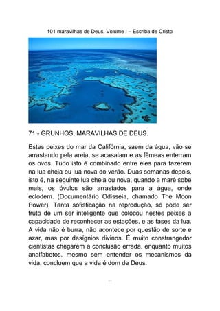 101 maravilhas de Deus, Volume I – Escriba de Cristo
71 - GRUNHOS, MARAVILHAS DE DEUS.
Estes peixes do mar da Califórnia, saem da água, vão se
arrastando pela areia, se acasalam e as fêmeas enterram
os ovos. Tudo isto é combinado entre eles para fazerem
na lua cheia ou lua nova do verão. Duas semanas depois,
isto é, na seguinte lua cheia ou nova, quando a maré sobe
mais, os óvulos são arrastados para a água, onde
eclodem. (Documentário Odisseia, chamado The Moon
Power). Tanta sofisticação na reprodução, só pode ser
fruto de um ser inteligente que colocou nestes peixes a
capacidade de reconhecer as estações, e as fases da lua.
A vida não é burra, não acontece por questão de sorte e
azar, mas por desígnios divinos. É muito constrangedor
cientistas chegarem a conclusão errada, enquanto muitos
analfabetos, mesmo sem entender os mecanismos da
vida, concluem que a vida é dom de Deus.
77
 